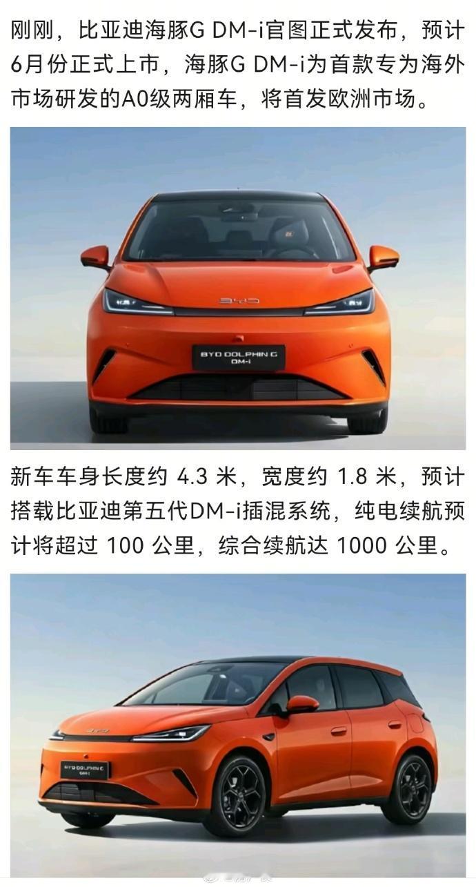 海豚这么小还是DMi，在欧洲还不乱杀啊