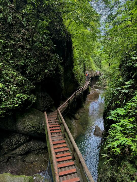 18张live图！告诉你夏天的青城山有多清幽🍃