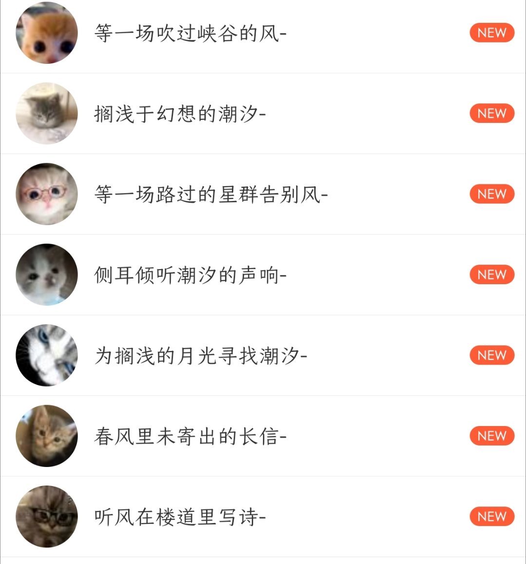 🐱🐱队