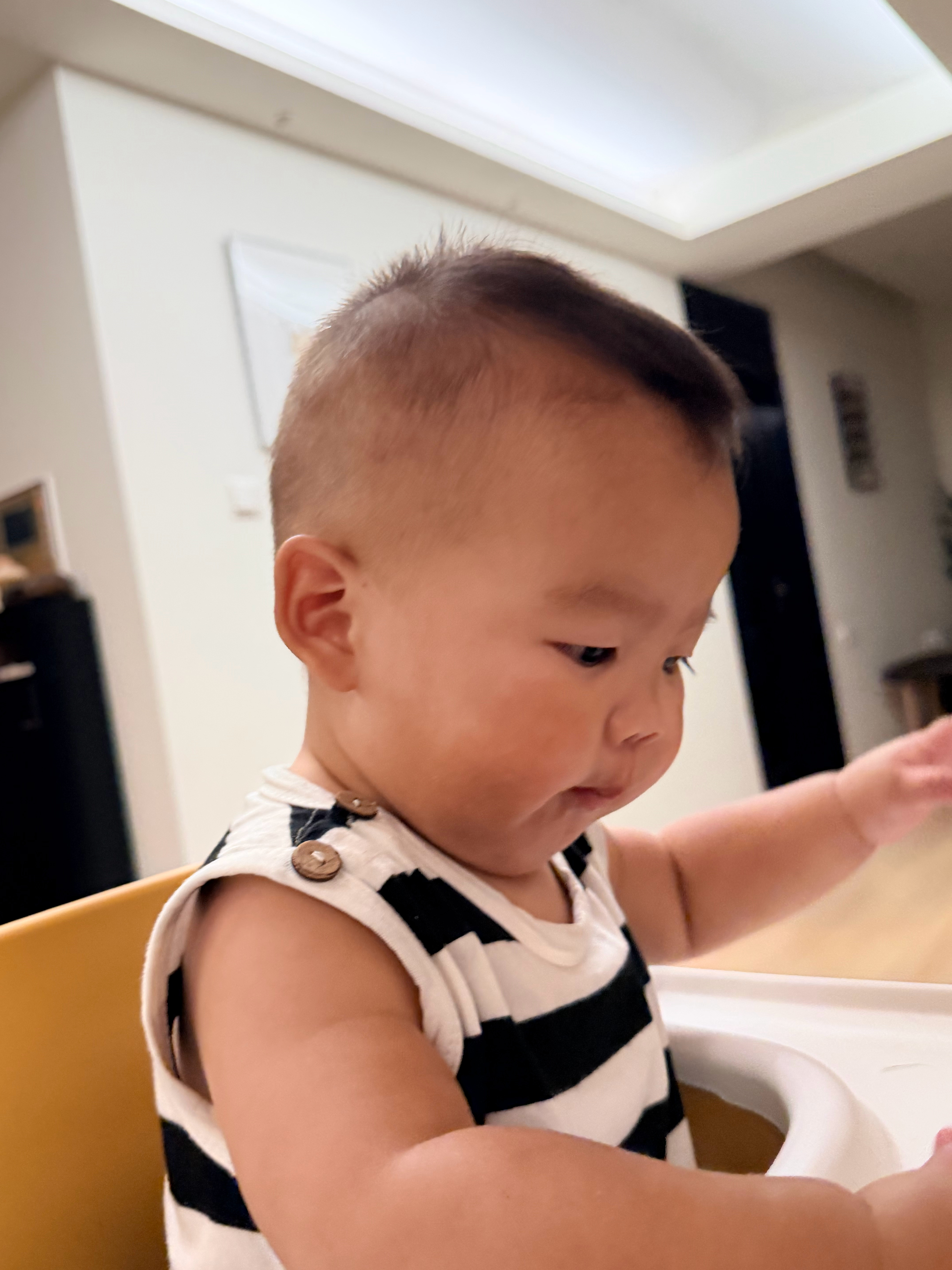 自己给麦旋风剪了个头发我觉得剪完很帅很可爱小陈却说：丑丑的