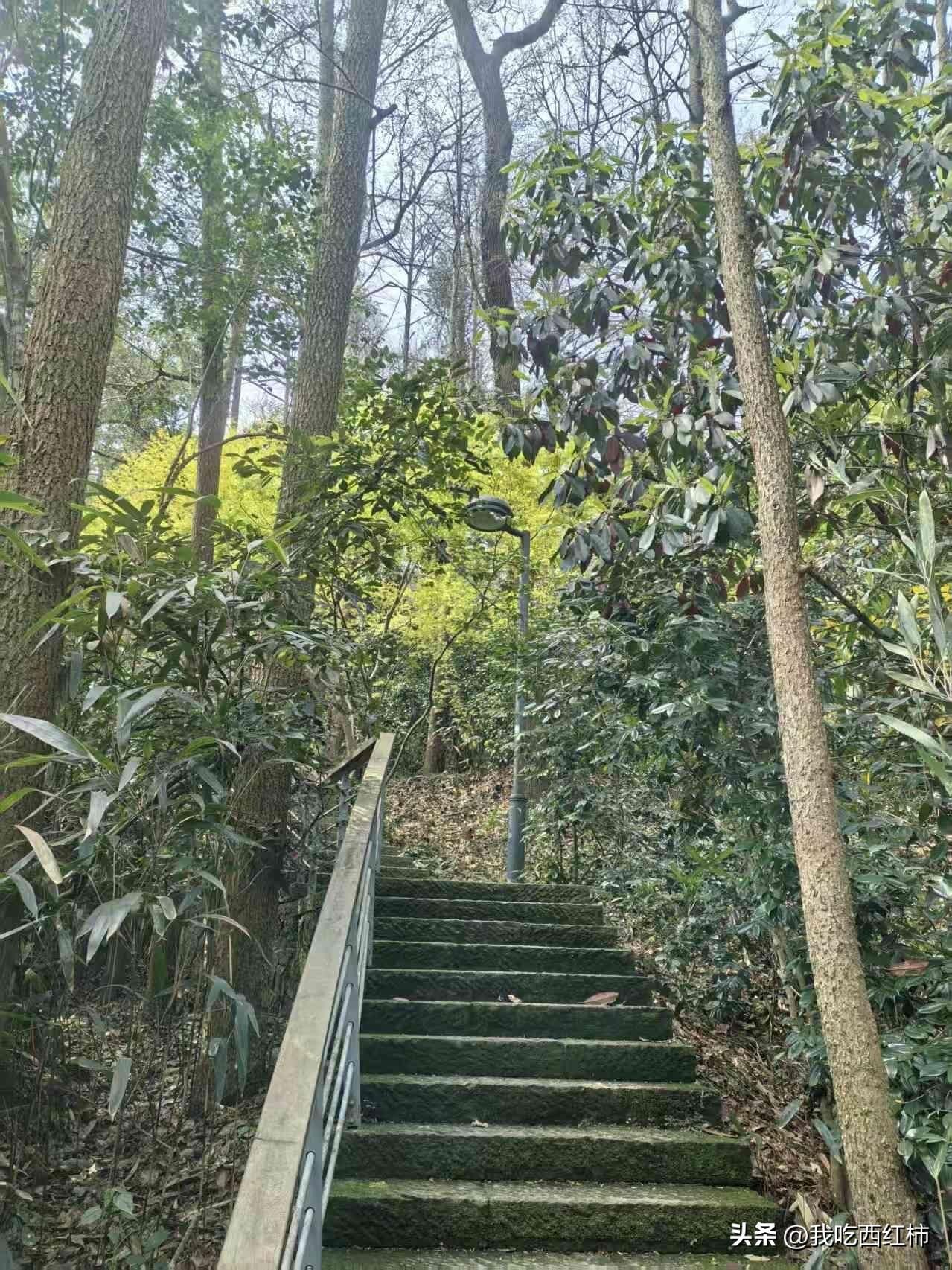 四十岁的单身大龄女性如何排解孤独感
不准备再婚了，也不准备生育了。就一个人过下去