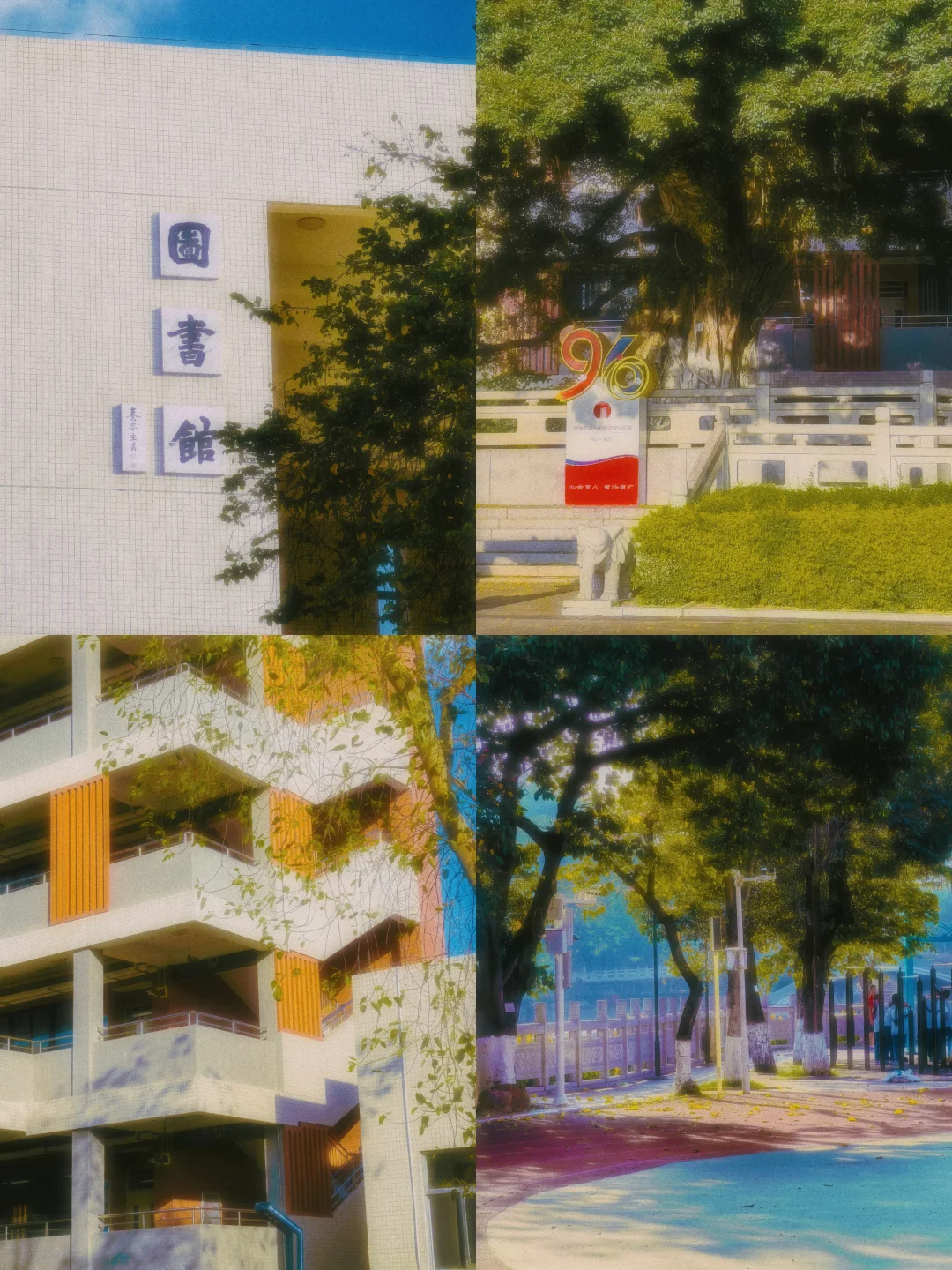📸惠州一中初中部|谁的三年又三年