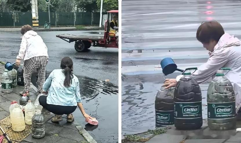 这些人是在干什么？

雨过天晴以后，成都的街头出现了奇怪的一幕。几位大姐，蹲在马