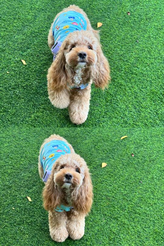 如何呢🤪又能怎😌