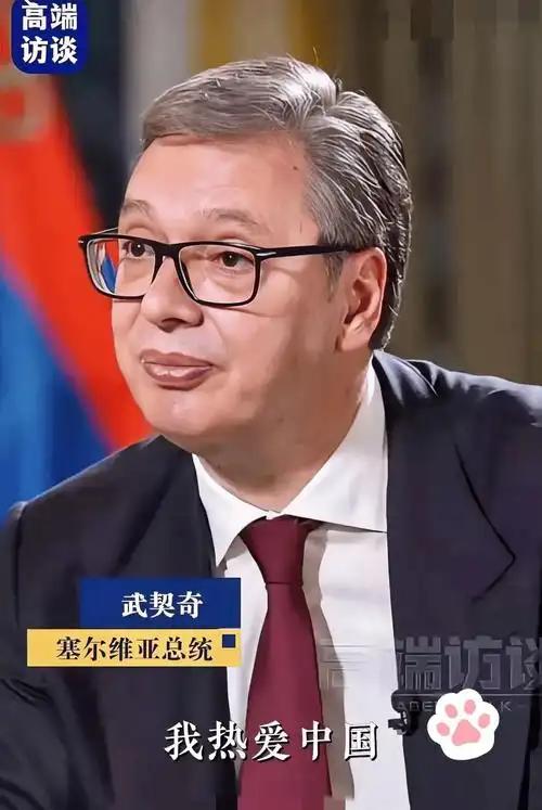武契奇真是塞尔维亚稳定的定海神针。
他访华期间，塞尔维亚亲西方的议长布尔纳比奇就