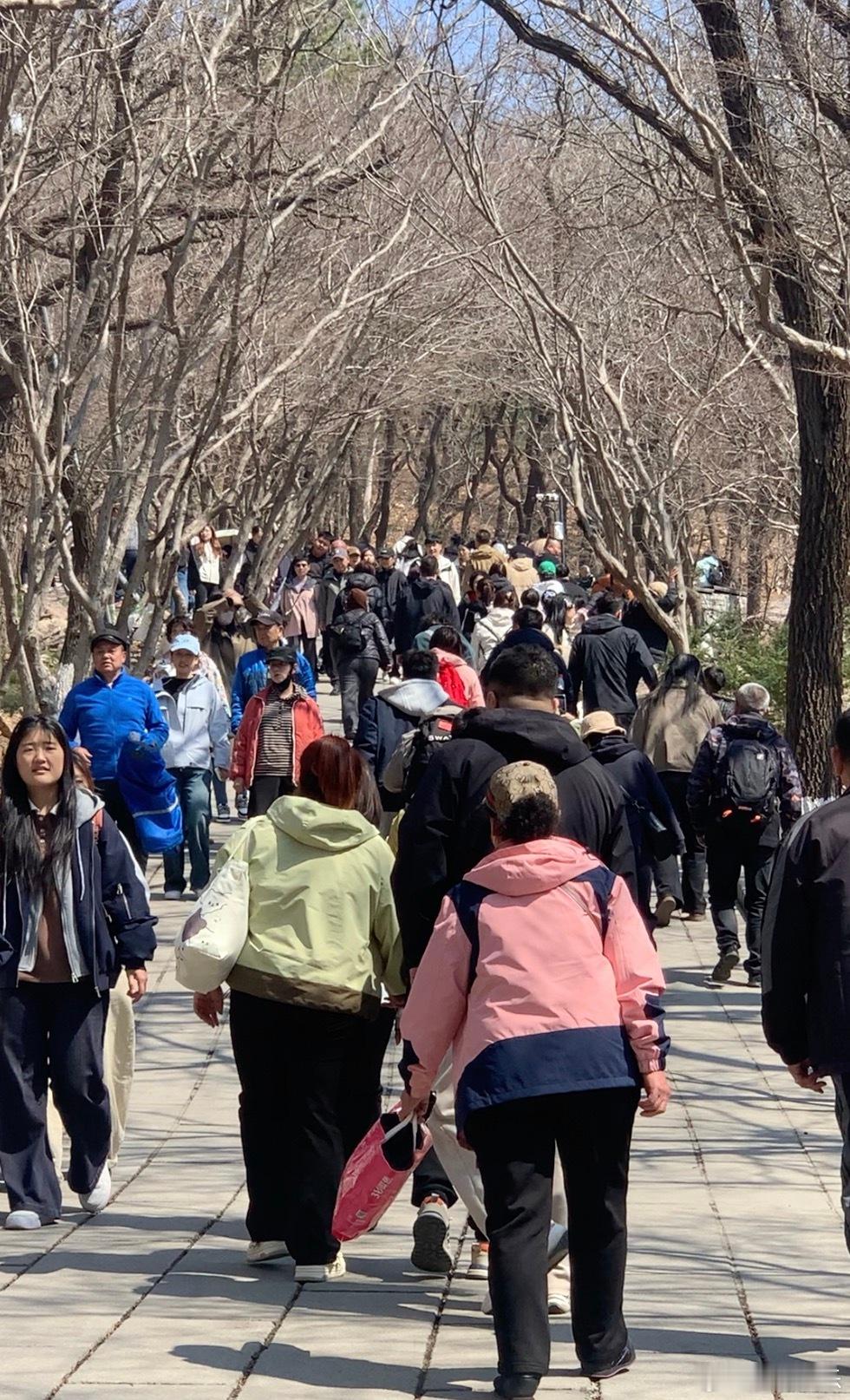 每次节假日来大孤山，都会反复确认一件事：它真的一直都这么多人。五一更是直接拉满，