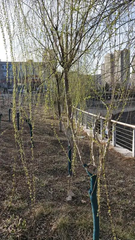 这首《七绝•春忆》极富画面感。“眼底春江柳钓舟，乌蓬踏浪过桥头”，瞬间将人带到春