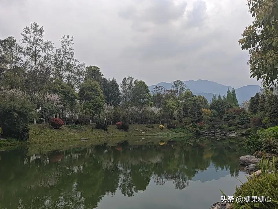 春日生活打卡季峨眉山脚下的春天