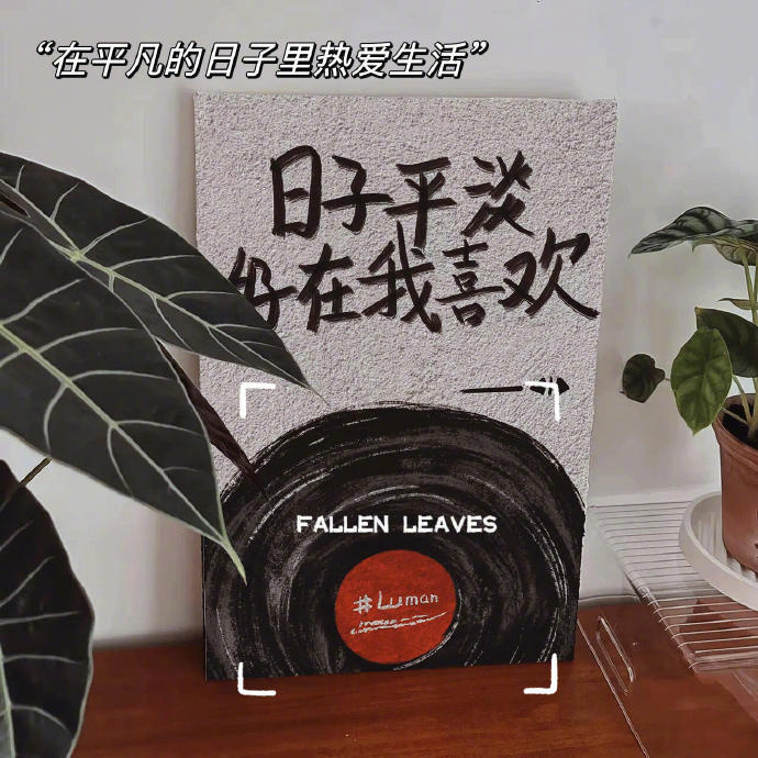 “ 最近的状态：心里藏着疲惫和委屈 在尽力的讨好生活 ”
