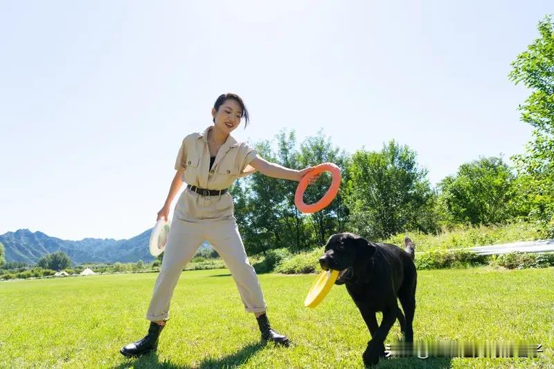 霍思燕爱犬在国际比赛夺冠 霍思燕的爱犬太牛啦！12月20日，穿红色旗袍的霍思燕牵