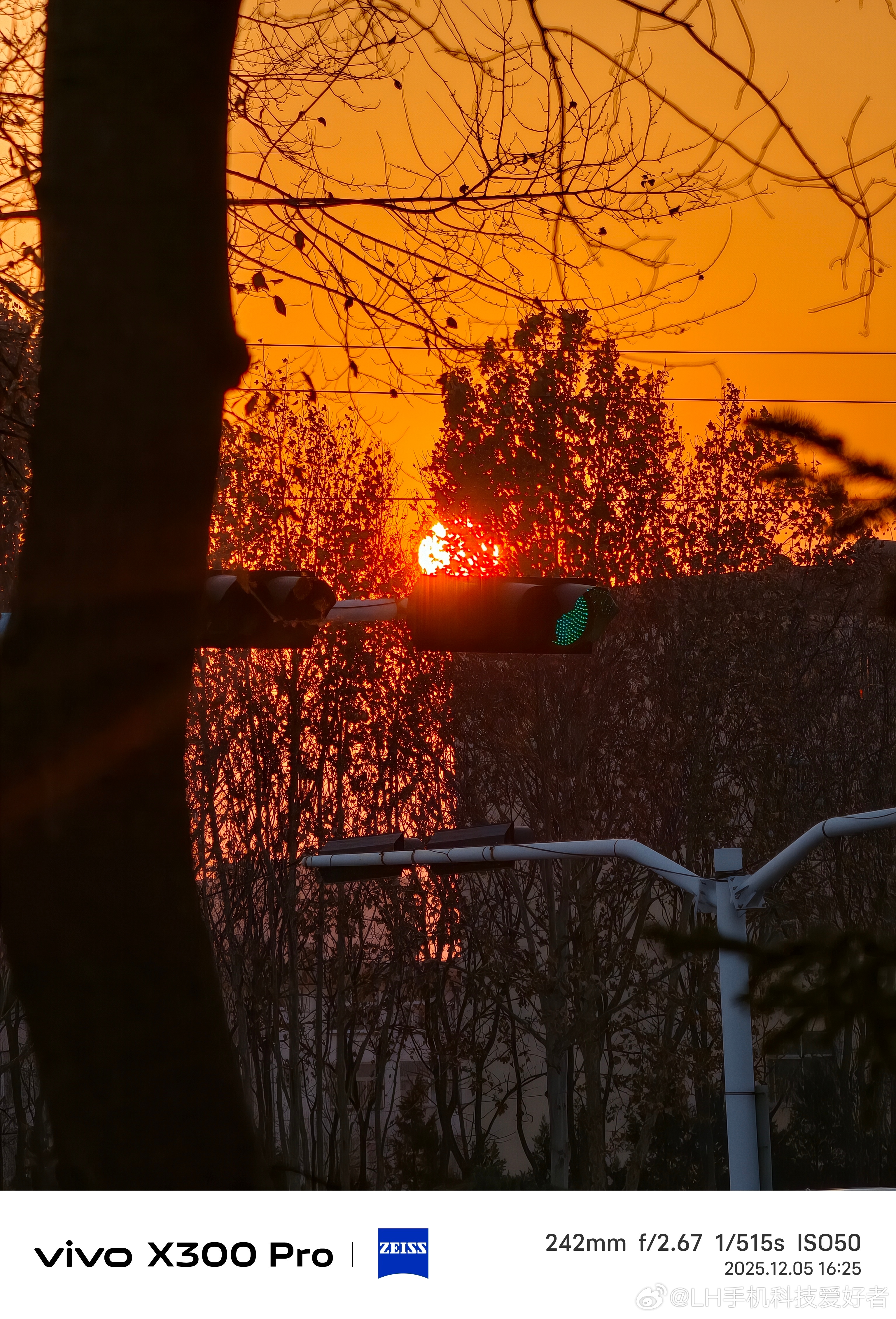 澳大利亚惊现末日红好家伙，看视频不知道的以为是特效和AI呢，现实中碰到这种红色的