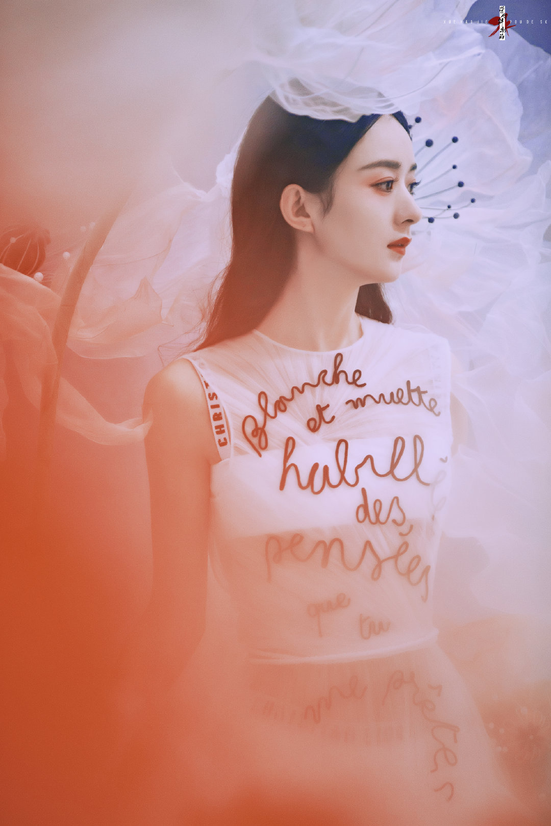 高贵优雅的花仙子呀～
