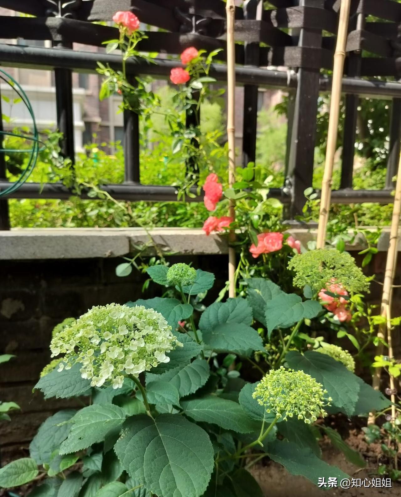 范蠡52岁悟道：和任何人打交道，这三点别漏
第一个不能流露的东西，叫做"渴望"。