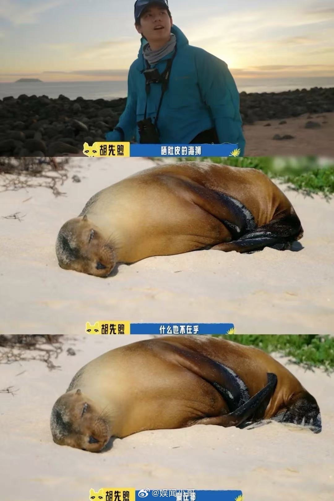 胡先煦的活人感太绝了胡先煦宛如综艺里的一缕清风，以鲜活之姿剖析人类与地球的关联，