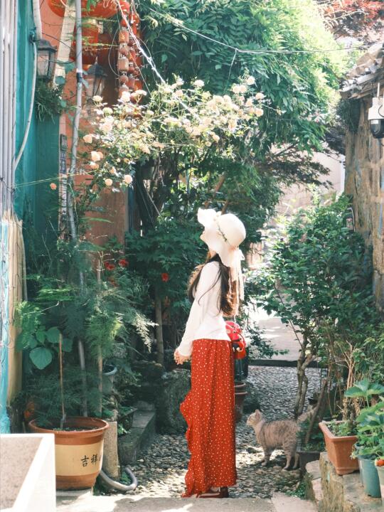 红色系🌺