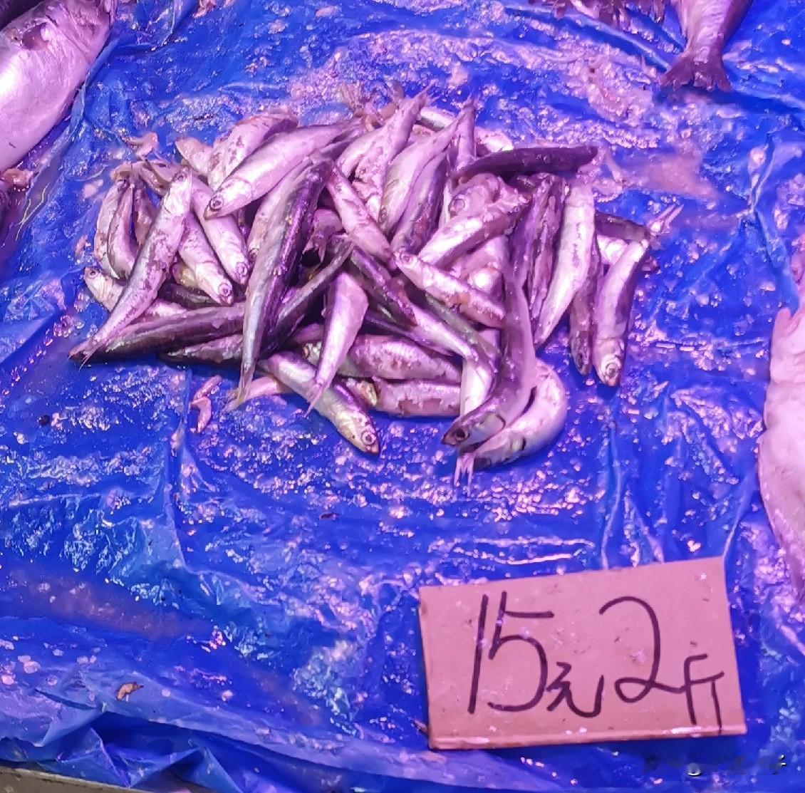 鲅鱼食子炖豆腐，我是坐公交车上听这个大爷讲的，我也没吃过，哪天试一试，大爷说老好