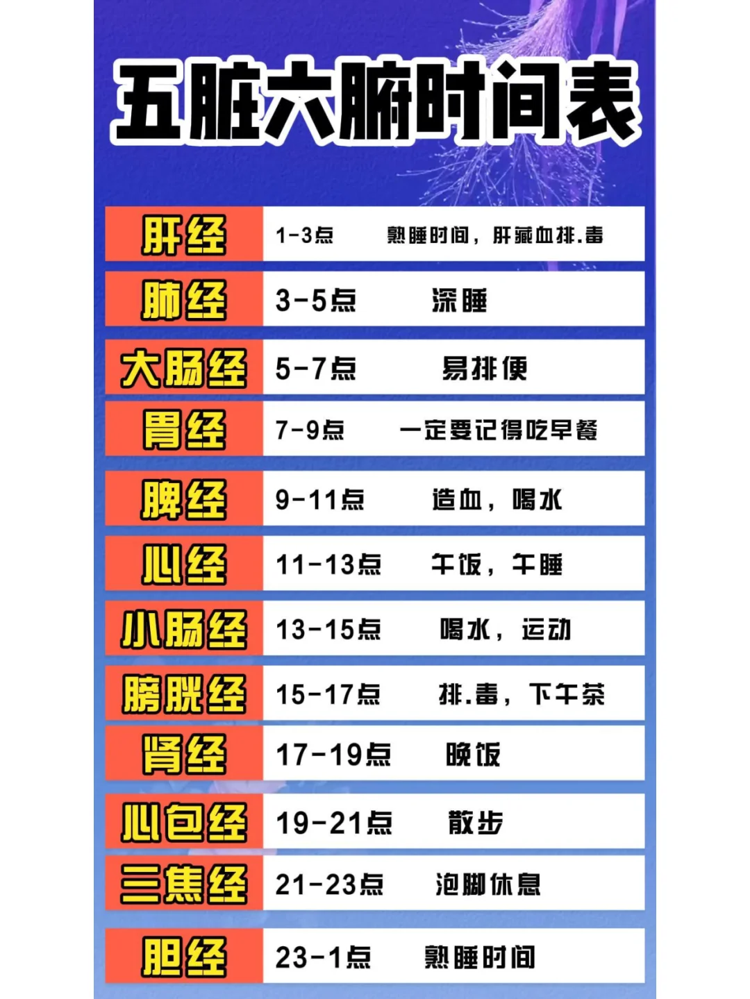 五脏六腑的时间表