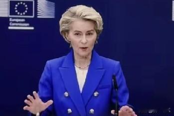 这些都是欧洲国家或者欧盟的总统或者主席。他们最近几年的混迹，实在有天壤之别。不是