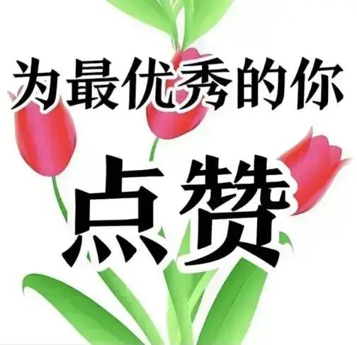 为最优秀的你点赞！🌹✨