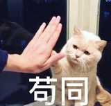 江遥读读汽车