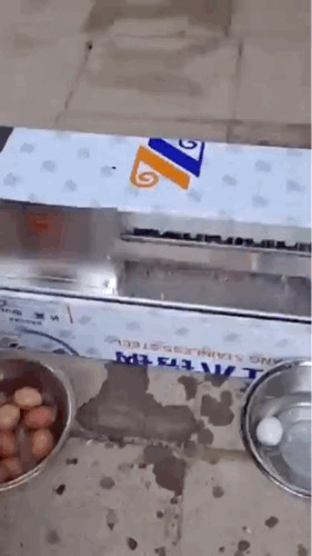 这样的鸡蛋吃起来是没有灵魂的
差评