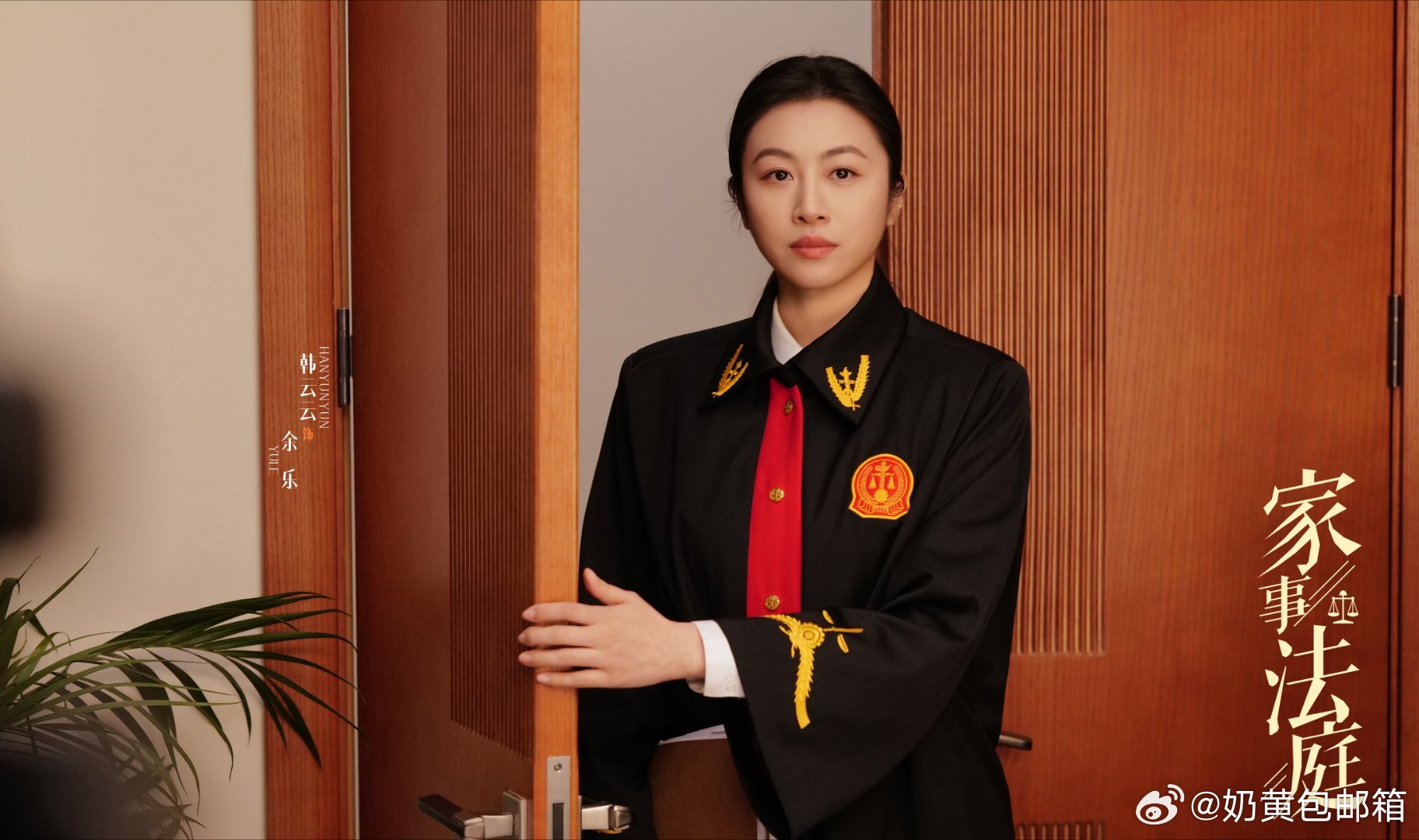 桃平台这次带来的《家事法庭》定档0325，太让人期待了！法理是刚性的准则，人情是