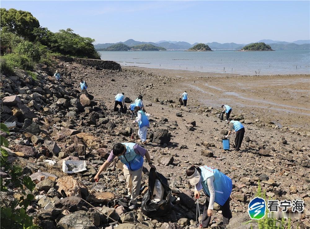 宁波宁海志愿者守护候鸟回家路 “这些塑料垃圾对海鸟的危害极大，必须彻底清理干净。