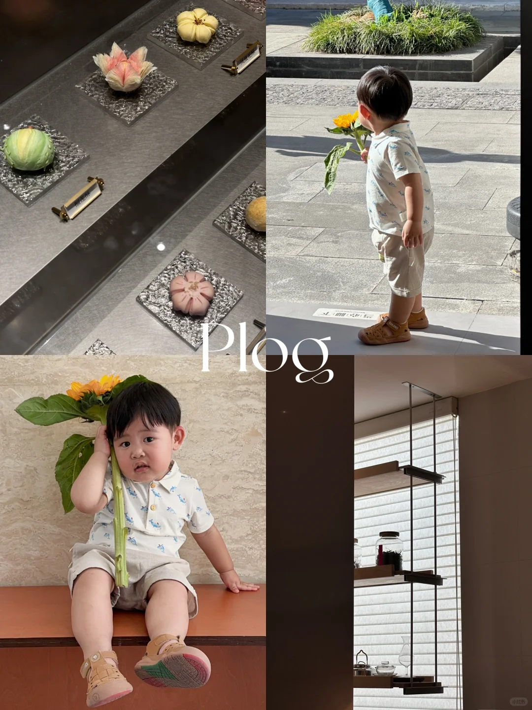 Plog｜19 月龄男宝依旧是妈妈探店好搭子