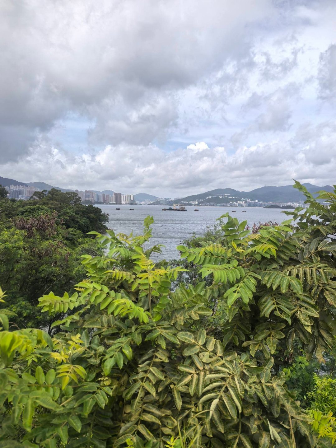 早安心若向阳便无畏悲伤，常怀感恩之心，每一个清晨日落都藏着小欢喜。 