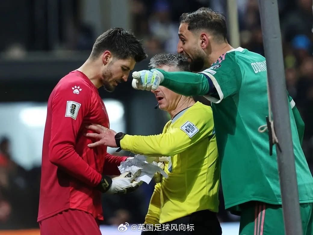 世界杯 意大利不敌波黑 意大利连续3届无缘世界杯【钱多多的重新出发】连续三届世界