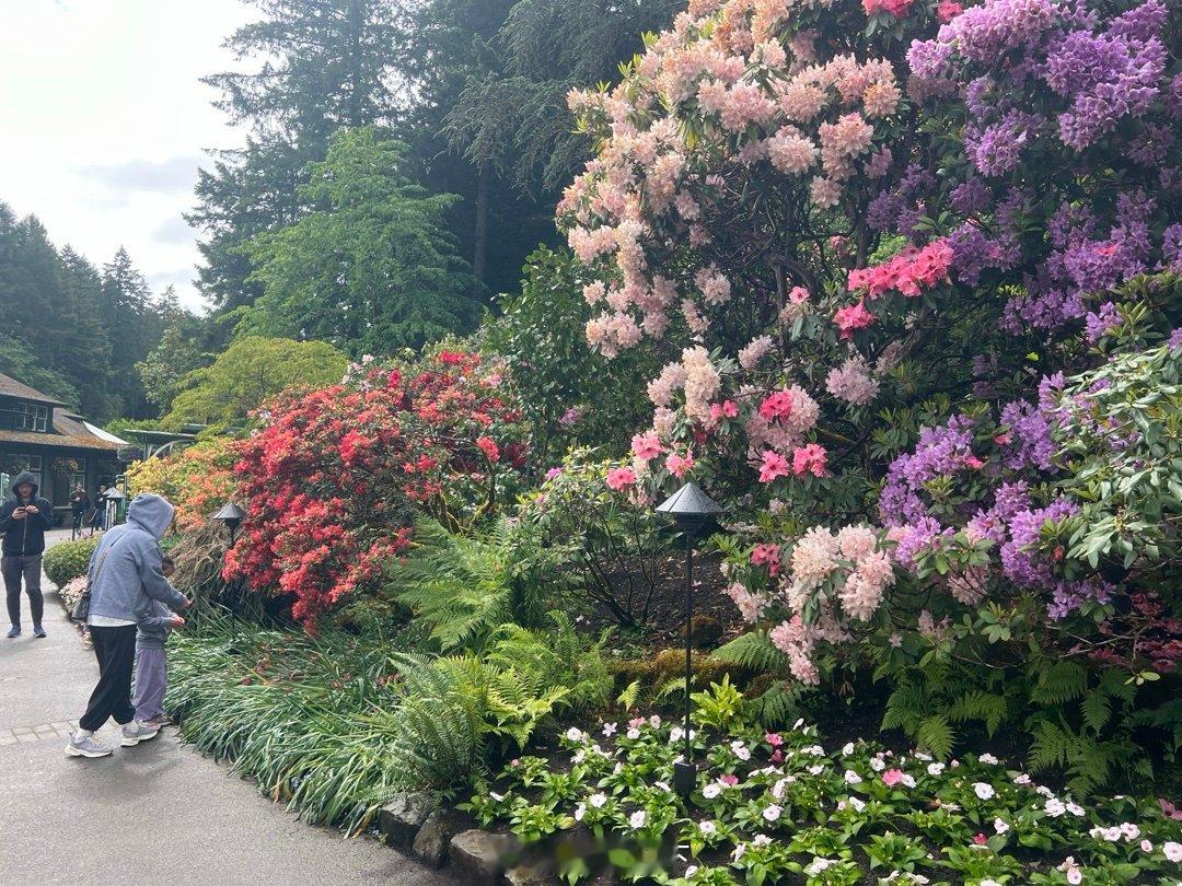 Butchard Garden (1) 