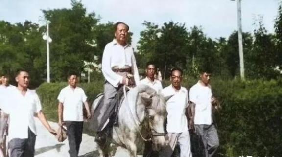 1964年，毛主席在北戴河开会时，非常想要完成他骑马考察黄河和长江的愿望，于是中