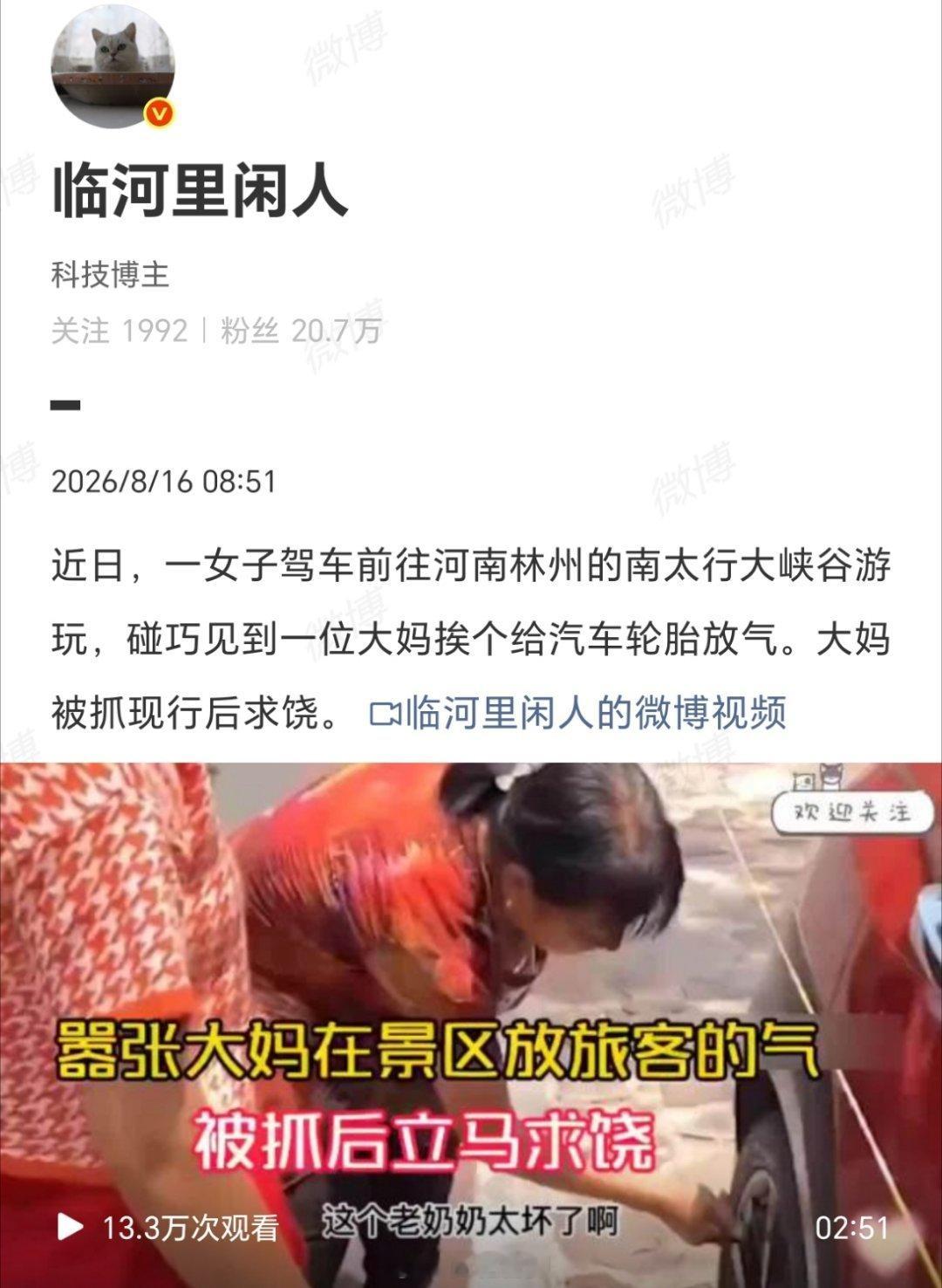 大妈景区挨个给汽车放气被当场抓住这种行为堪称“以恶之名，行恶之实”。大妈挨个放气