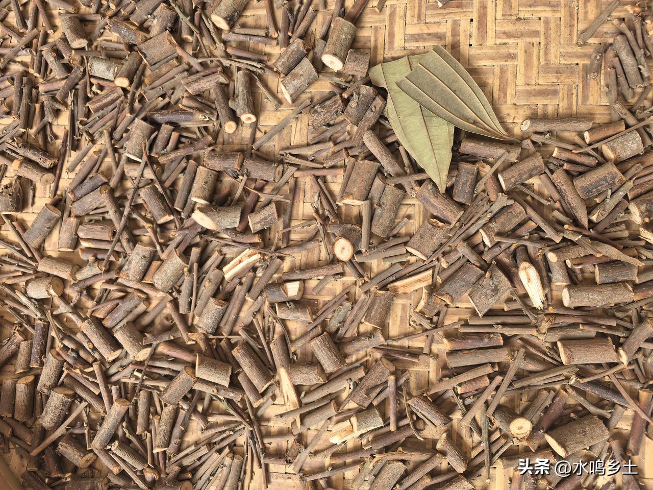 记录我的2026自己采的桂枝切得有点凌乱，手工剪的，不像机器切的那么匀称和整齐，