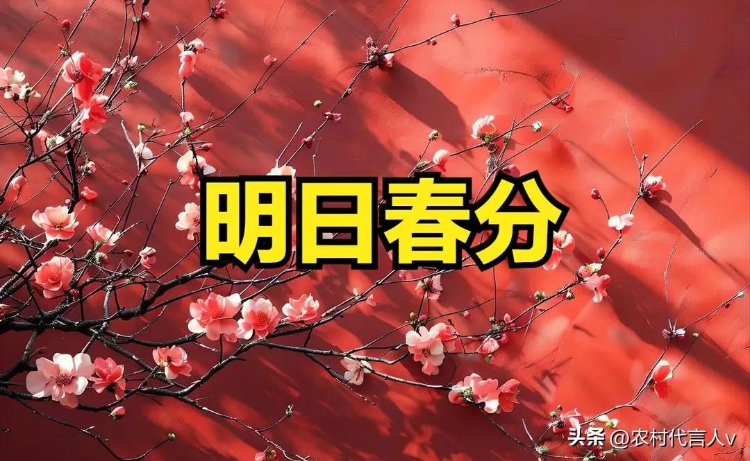 不是迷信！明日春分，3事别犯忌讳：1不动、2不赖、3不喝，老辈说：顺了天时，马年