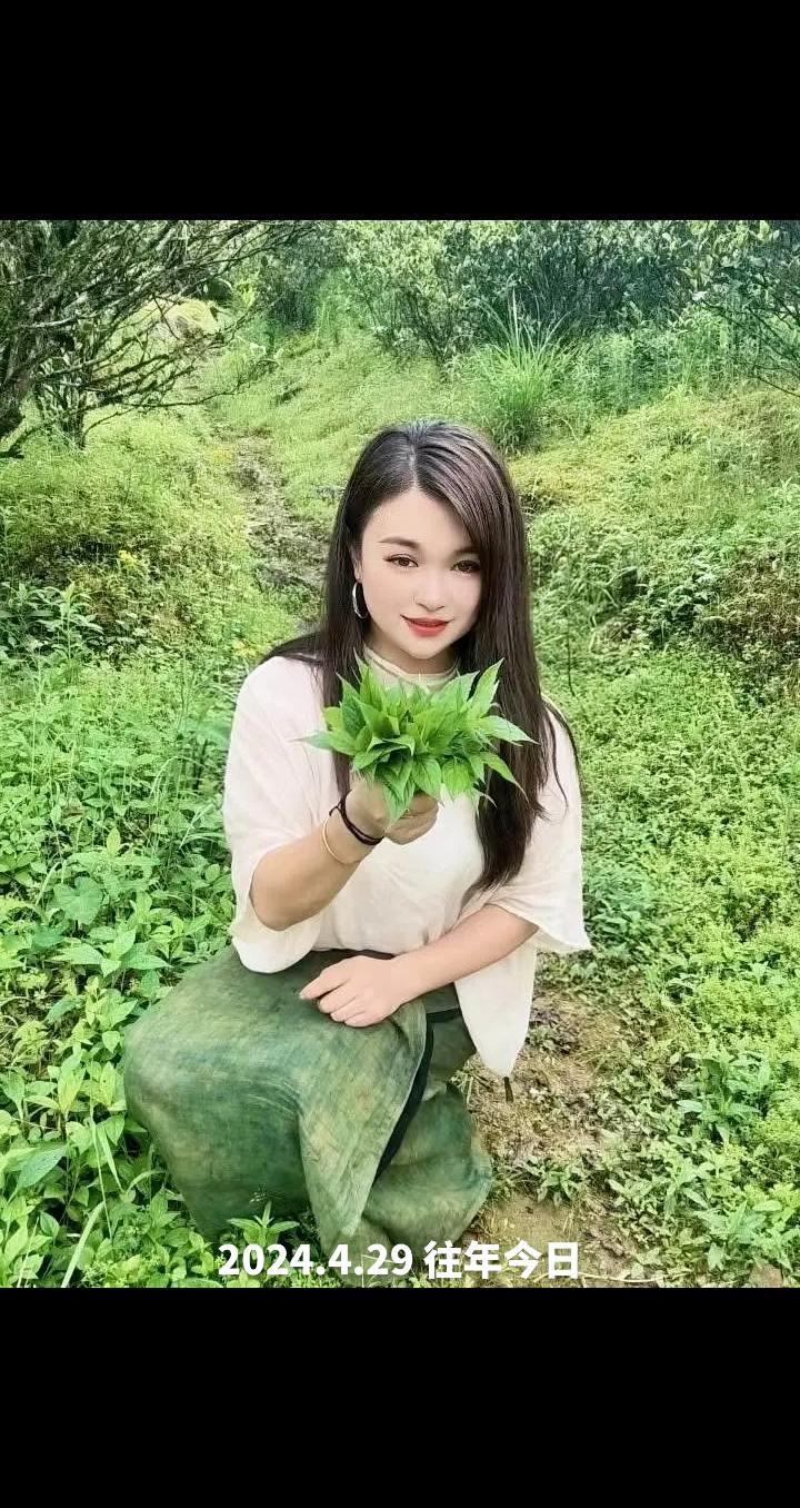 山野自然 拥抱自然 古树绿苔 山在树在自由在