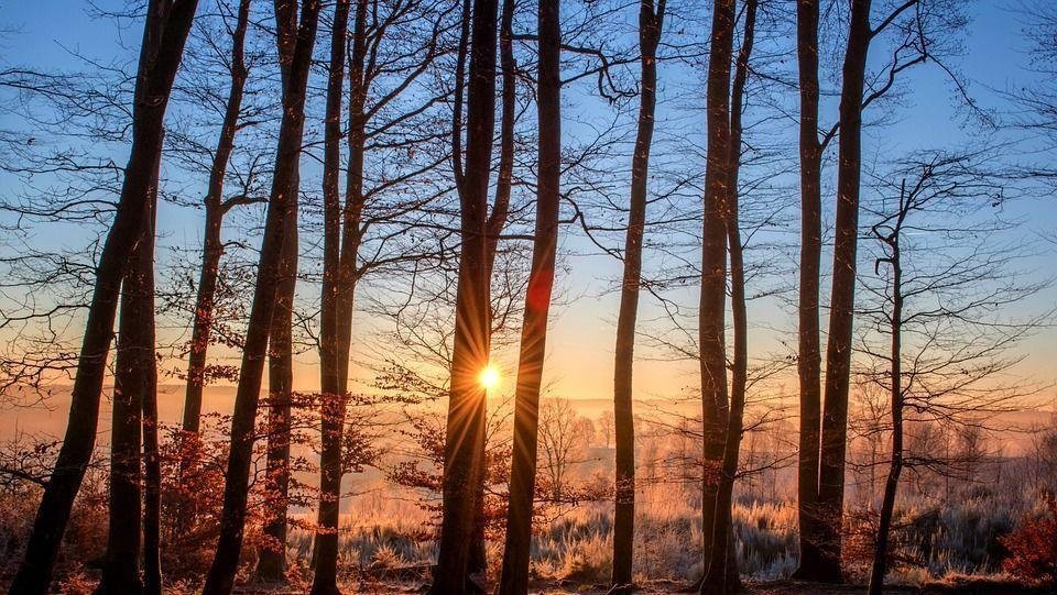 习惯这个世界了，才会对任何事情都不感到惊奇。——贾德《苏菲的世界》