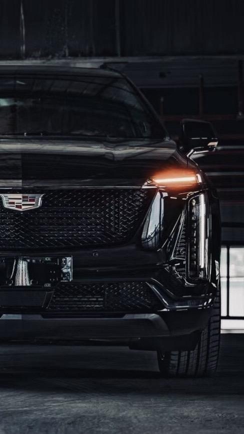 执着于理想，纯粹于当下