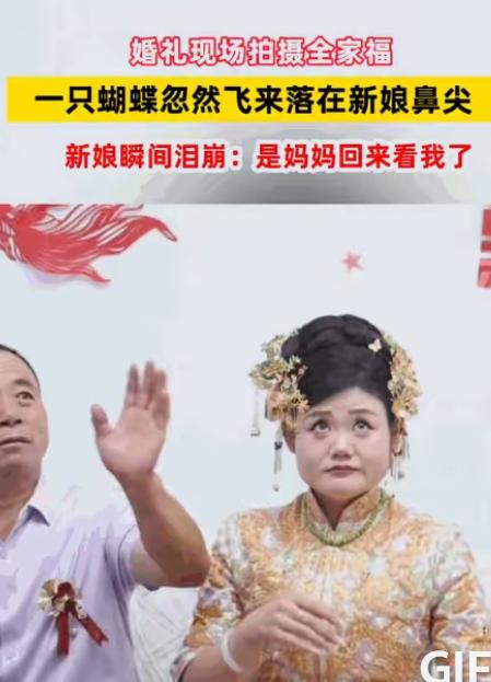 山东婚礼现场，新娘出门前正和爸爸拍合照，突然一只蝴蝶飞进屋，精准停在她鼻尖上。父