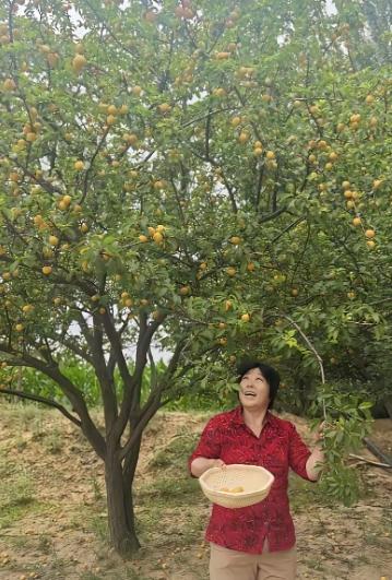 “治沙女杰”殷玉珍，如今身家厚得吓人。800万棵树、7万亩林子，名下还开着一家正