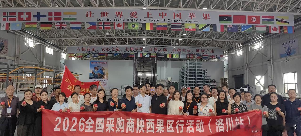全国采购商陕西果区行走进洛川上联：秋霜催黄叶，诚邀下联 分享一下你家乡的烟花 去