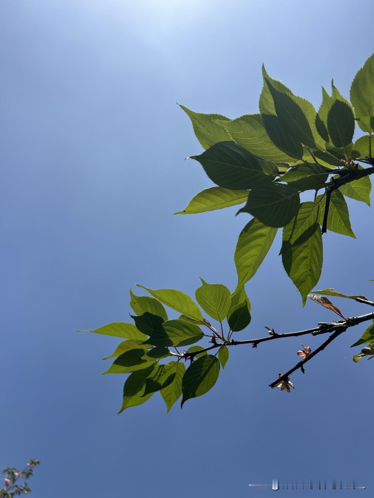 我觉得让座不是硬性规矩，更多是发自内心的善意。老人腿脚不便，站着确实累，年轻人多