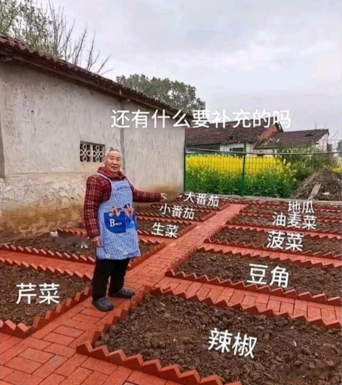 看看还缺点啥？
