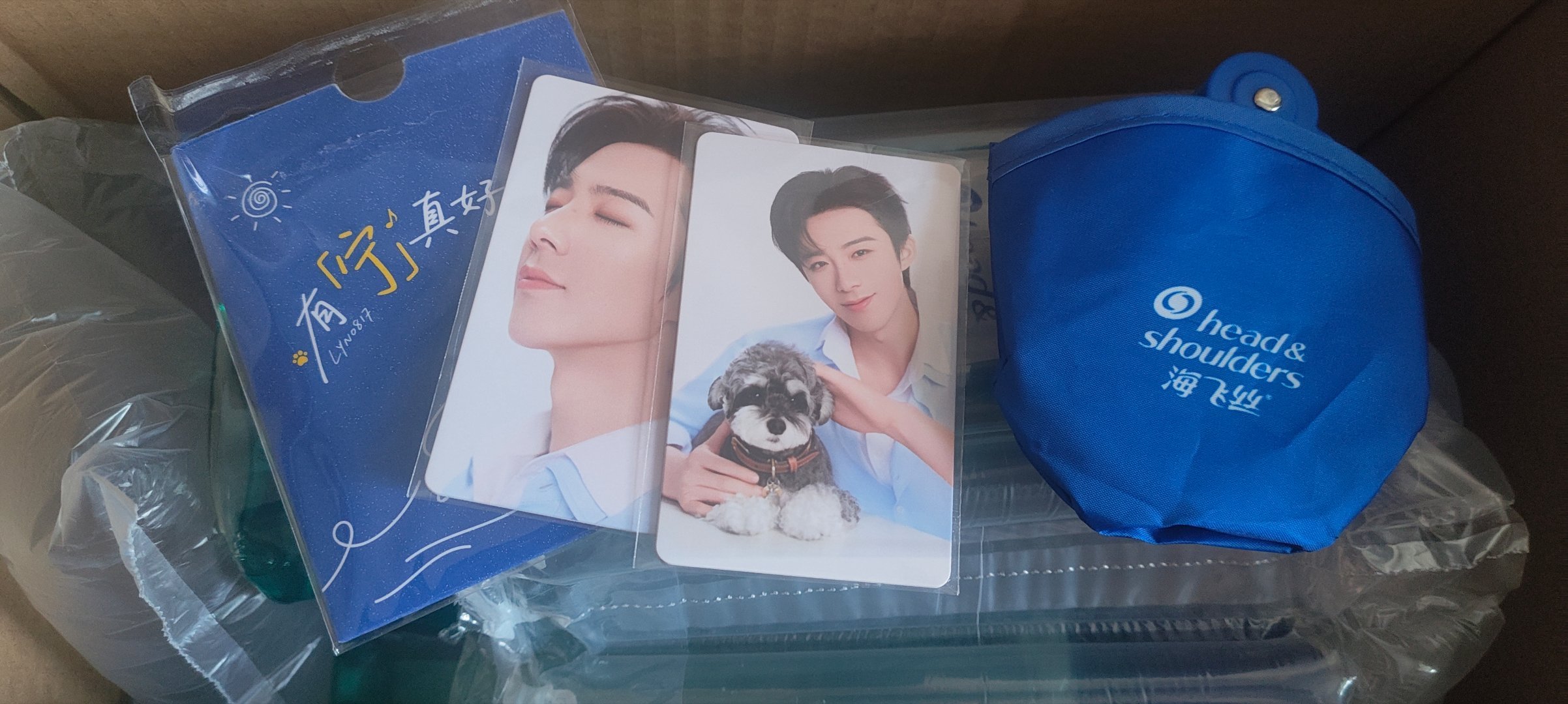 刘宇宁海飞丝品牌代言人 ﻿ 刘宇宁，我在盛夏荷香里等微凉的风，愿风里每一秒仍有荷
