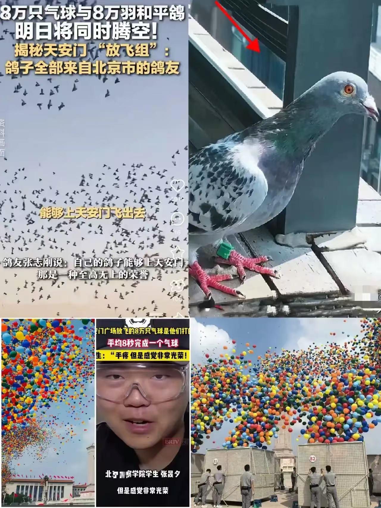 这回可是真真正正地火出圈啦，全国人民都知晓了相关盛事背后的故事！就说那广场上放飞
