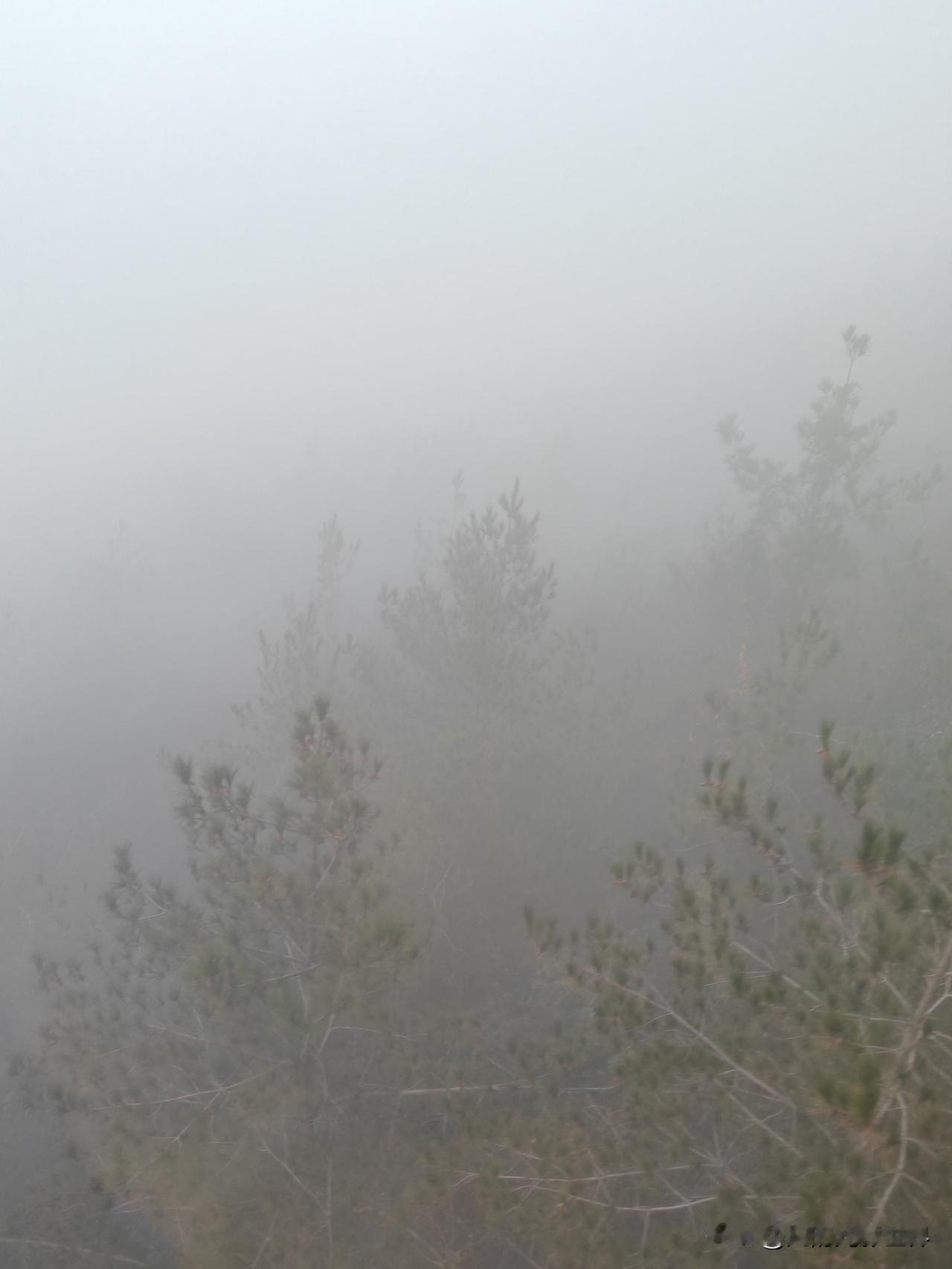 周末去三峡之巅这趟旅行，真的太值了！到了三峡之巅，三峡那壮丽的风景直接把我震撼到