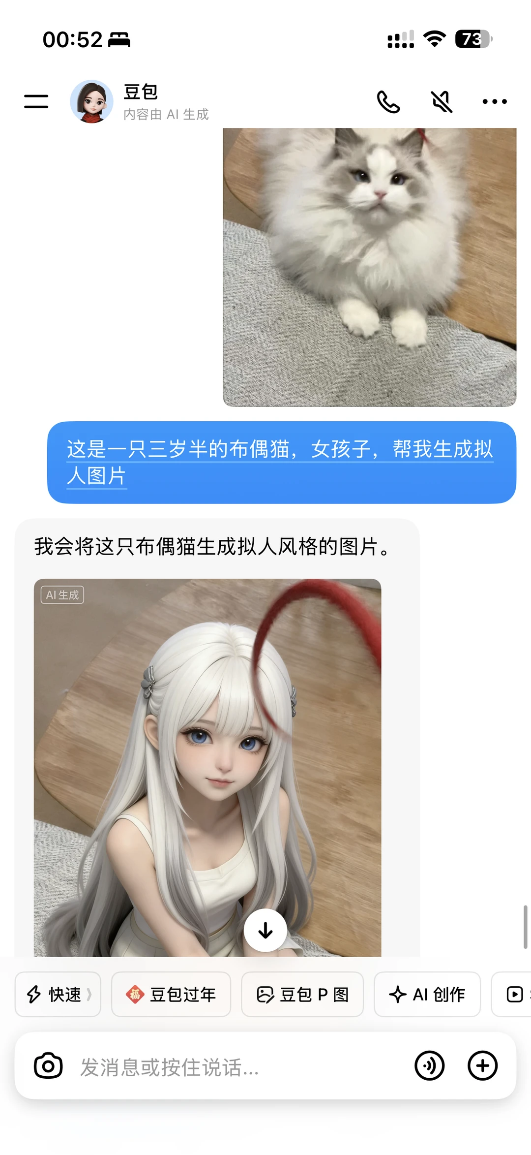 美丽小猫