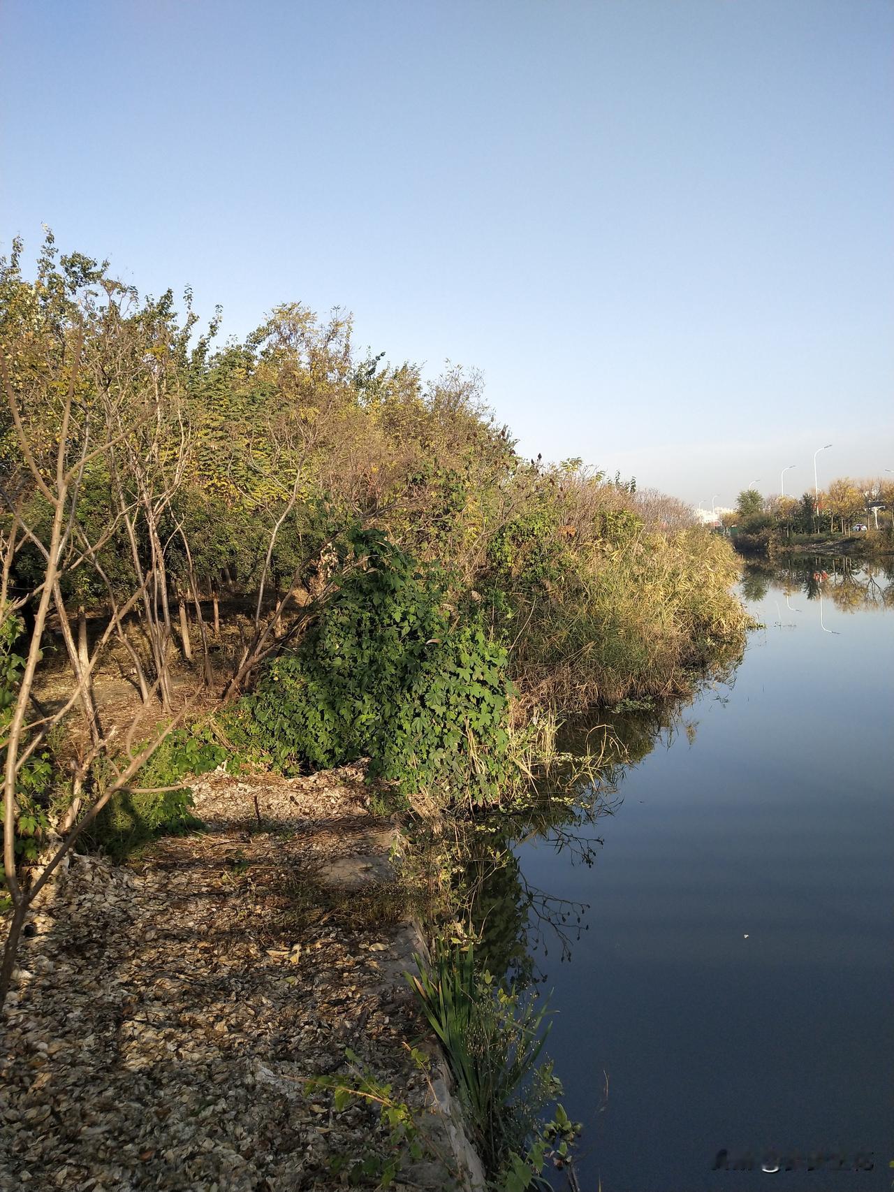 综艺尴尬瞬间

笑料背后藏着哪些秘密？

主持人朱丹在颁奖典礼上接连叫错明星名字