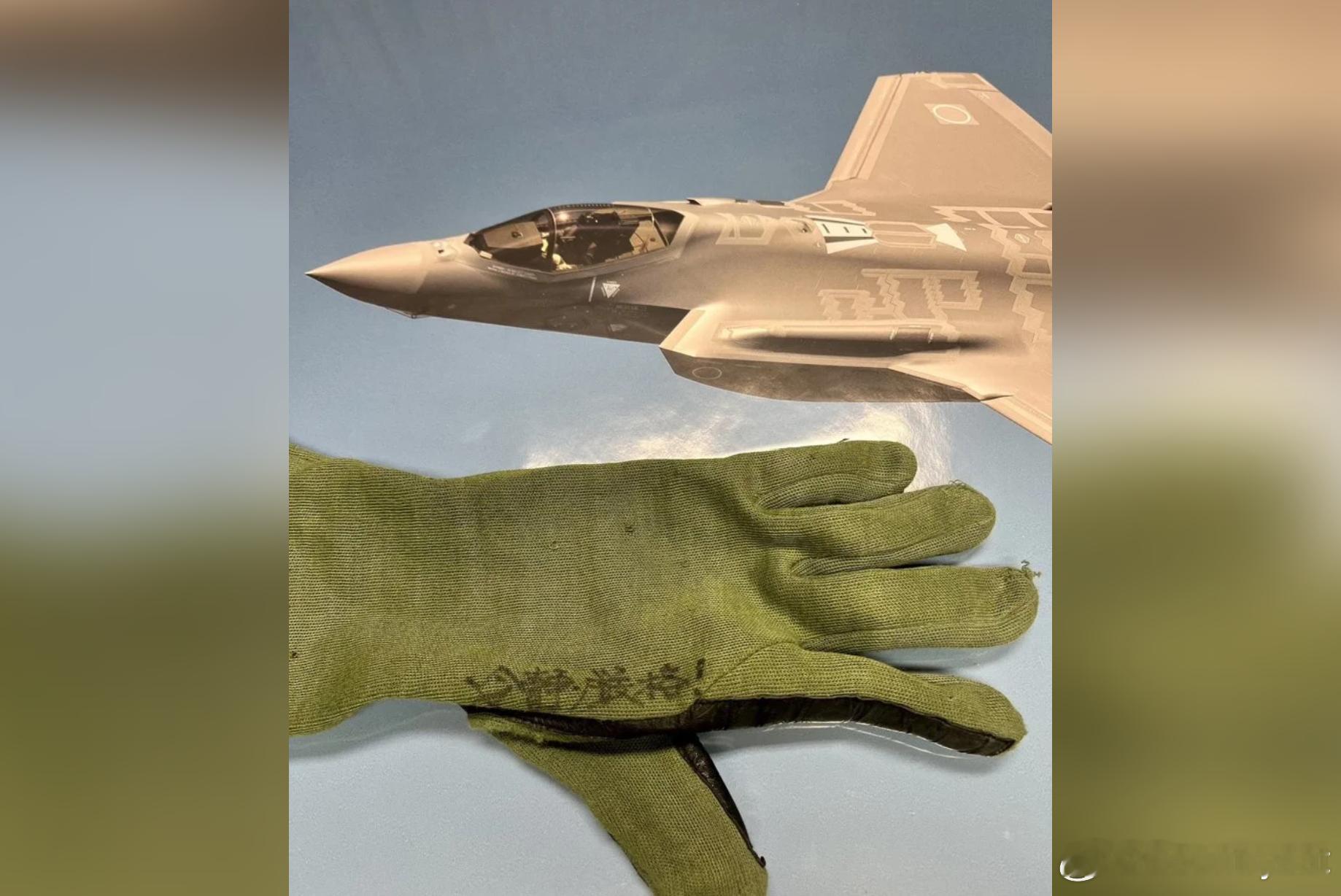 【遭军机雷达照射30分钟！日本自卫队飞行员冷静应对 手套上的四字成定心符】海外新