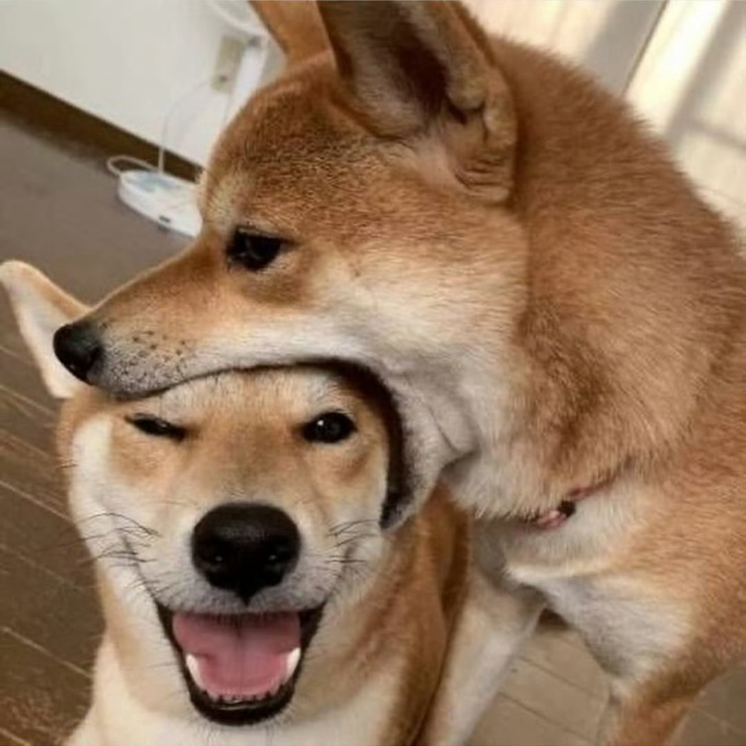 吃个狗头